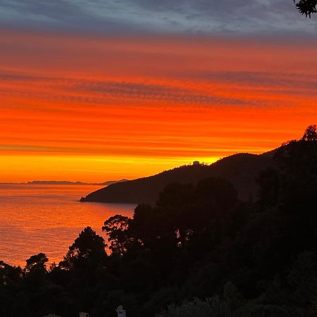 Magnifique Villa Neuve Vue Mer キャバレール・シュル・メール エクステリア 写真