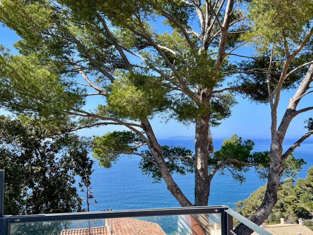 Magnifique Villa Neuve Vue Mer キャバレール・シュル・メール エクステリア 写真