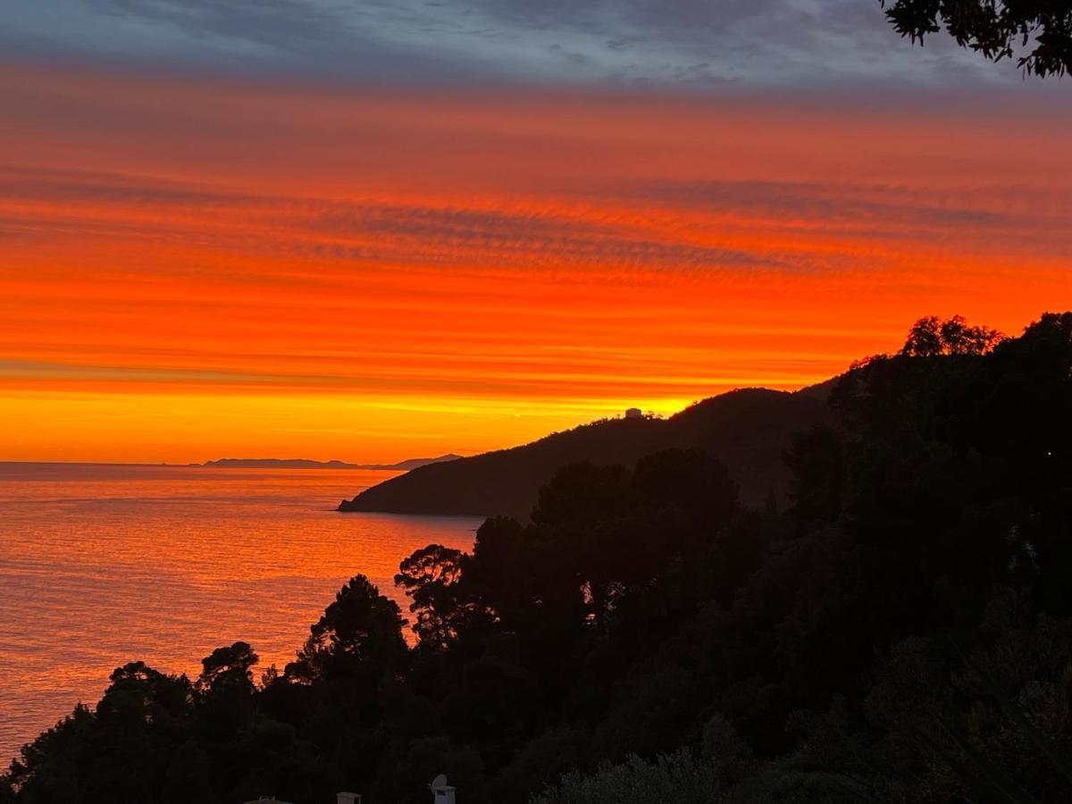 Magnifique Villa Neuve Vue Mer キャバレール・シュル・メール エクステリア 写真